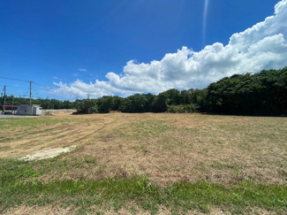  | 本部町備瀬(1082.04坪)