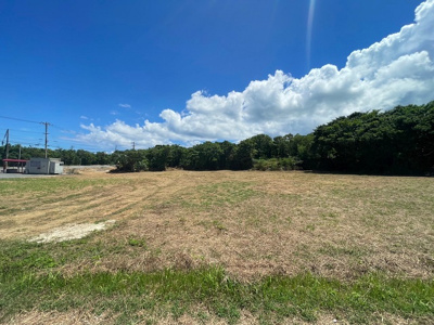  | 本部町備瀬(1082.04坪)