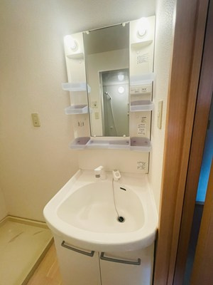セジュール・シャイニングA棟の洗面所|広い洗面スペース