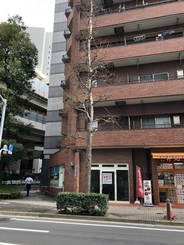 ニューシティハイツ日本橋の外観