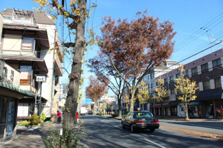 【前面道路含む現地写真】 | 前面道路、白川通り
