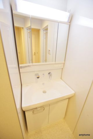 プログレスコート梅田北　仲介手数料無料の洗面所