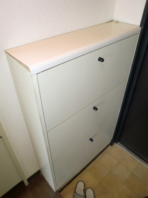 大阪市淀川区新高６丁目の賃貸マンションのその他|シューズBOX