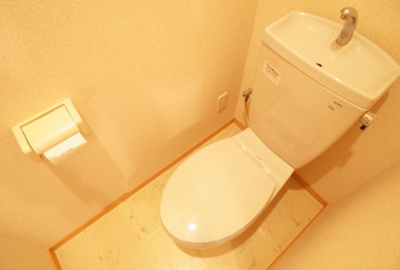 【トイレ】 | ドゥムールストレチア | トイレ