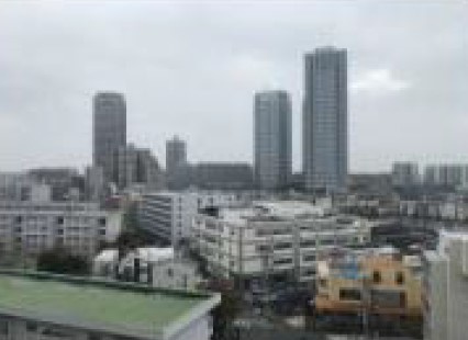鹿島田グリーンハイツ　（川崎市幸区下平間）の展望