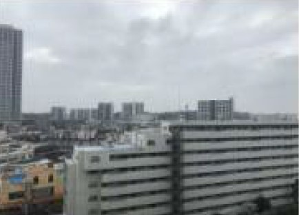 鹿島田グリーンハイツ　（川崎市幸区下平間）の展望