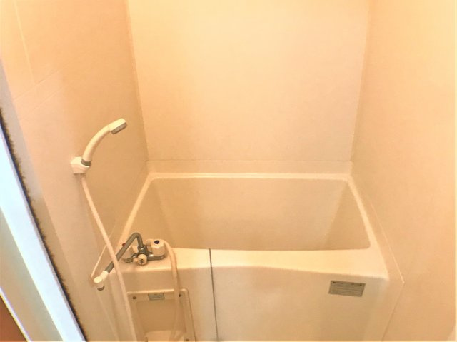 ラ・ヴィータの浴室