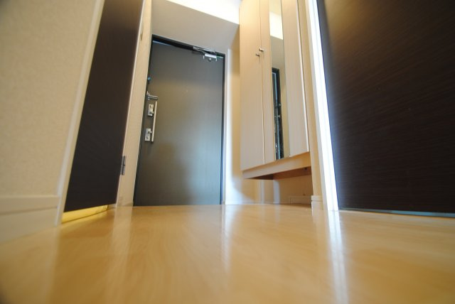 第33上野ビルの玄関|同タイプ別室（イメージ画像）
