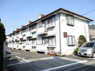 エスペランサ鈴木の画像