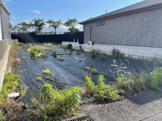 東唐津借地の庭