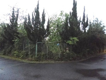 高島市マキノ町西浜1440-15　売土地の画像