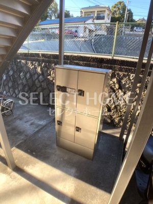  | フォーサイト大西