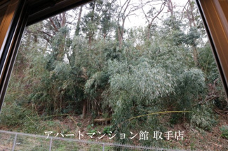 【展望】