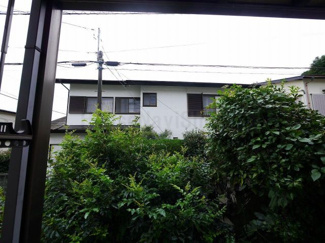 【展望】
