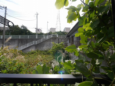 【展望】 | DAIYU二十三番館