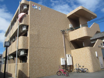 プラボー・パーヒの画像