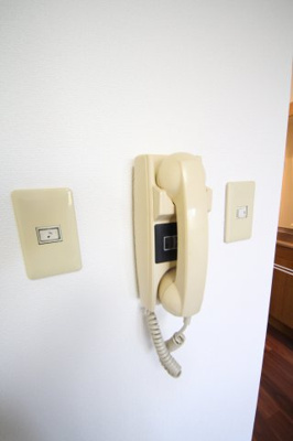 【セキュリティ】 | Storchfirt