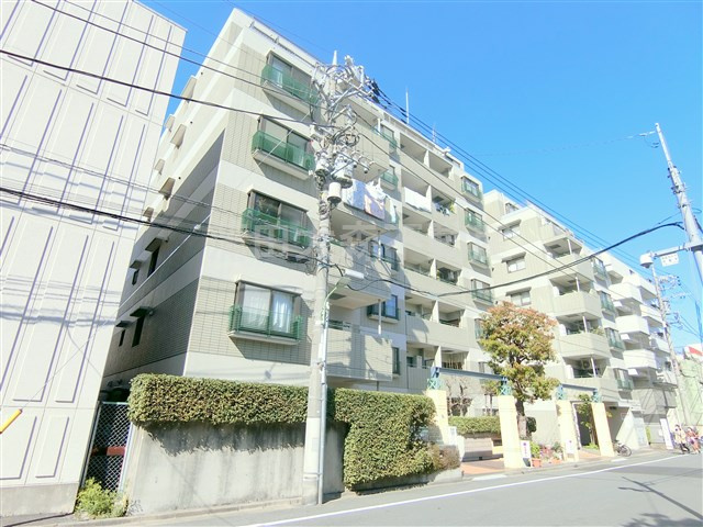 コスモ多摩川ラ・ミューゼの外観