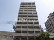 サヴォイ　ソリディティの画像