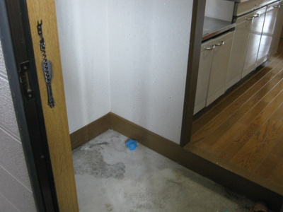 【玄関】 | ハイツシオン | シンプルで使いやすい玄関です