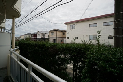 【展望】 | シャインクロコ