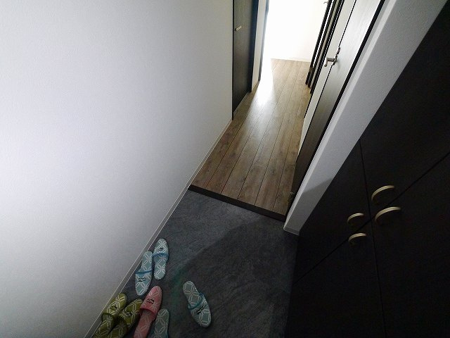 グリュックメゾン西大寺の玄関|きれいな玄関です