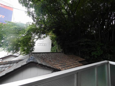 【展望】 | フローラルパレス元町