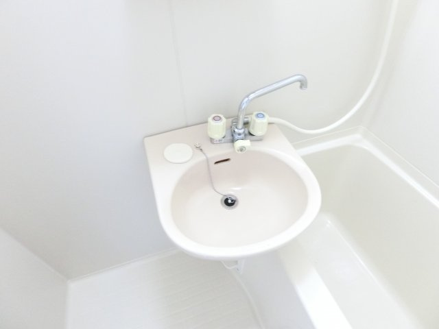 メゾン・エルセラーンの洗面所