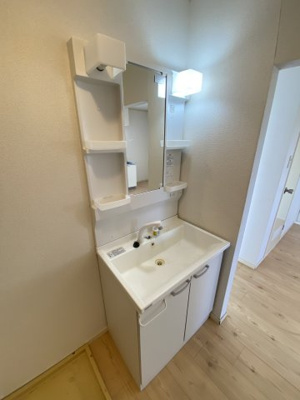 【洗面所】 | リバーサイド清川 | シャワー付き洗面台
