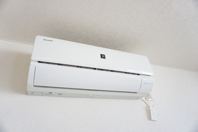 パナシアのその他