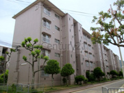 清和台住宅（公社分譲）の画像