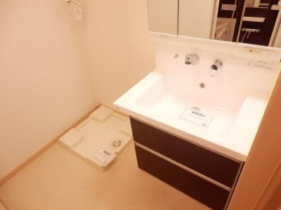 ルミエール西洞院の洗面所