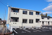 コスモスⅡの画像