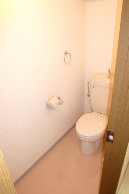 城南ヒルズ【キャッシュバック対象物件】のトイレ