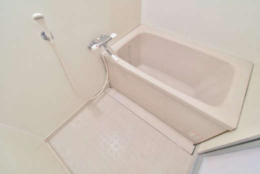 ライトハウス【キャッシュバック対象物件】の浴室|お風呂です