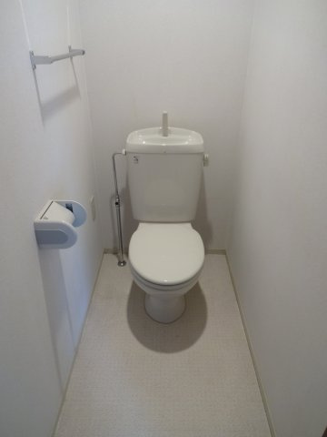 シャルムⅣ【10,000円キャッシュバック対象物件】のトイレ|トイレです