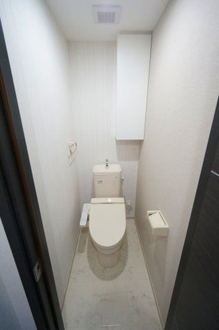 アメニティ諏訪野【キャッシュバック対象物件】のトイレ|同型シリーズになります。