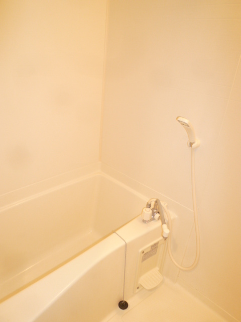 STシャトー【キャッシュバック対象物件】の浴室|落ち着いた空間のお風呂です