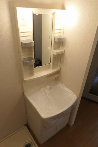 タウニィ田寺の洗面所