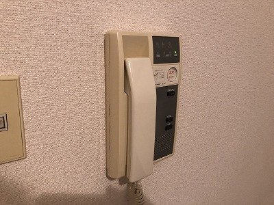  | ダイアパレス両国
