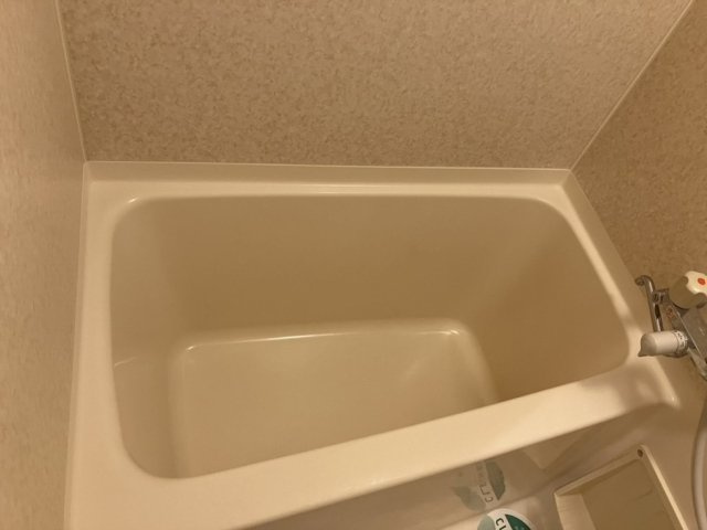 【浴室】 | ﾄｰｼﾝﾌｪﾆｯｸｽ中野新橋ﾊﾟｲﾝｱｲﾙ