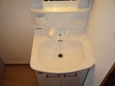 ビレイユ真英四条柳馬場PARTⅡの洗面所