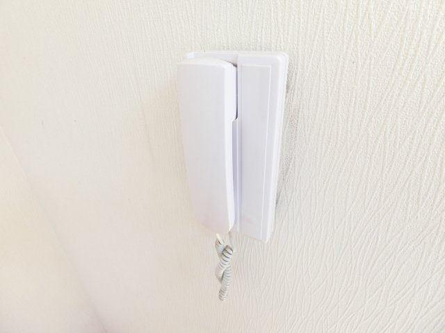 エルヴェウエダのセキュリティ