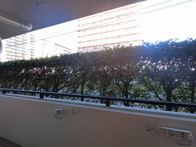 【展望】 | ルミナス横浜阪東橋 | 1階部分からの眺望♪