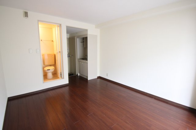 Ｐａｌａｉｓ　ルミエール( 近畿大学 一人暮らし )の洋室