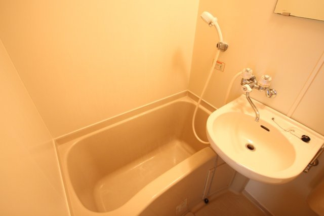 Ｐａｌａｉｓ　ルミエール( 近畿大学 一人暮らし )の浴室