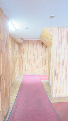 シラユリグランシャトーのその他共用部分