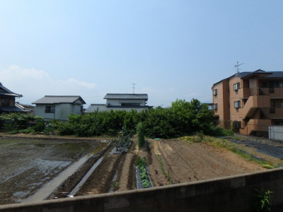 【展望】 | ブライムブルーム