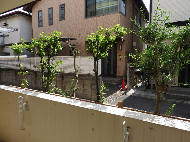 モアナの展望
