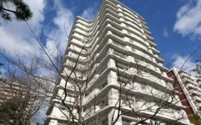 【外観】 | 北緑丘第三住宅12号棟 | 【現地写真】 鉄骨鉄筋コンクリート造　
14階建てマンション♪